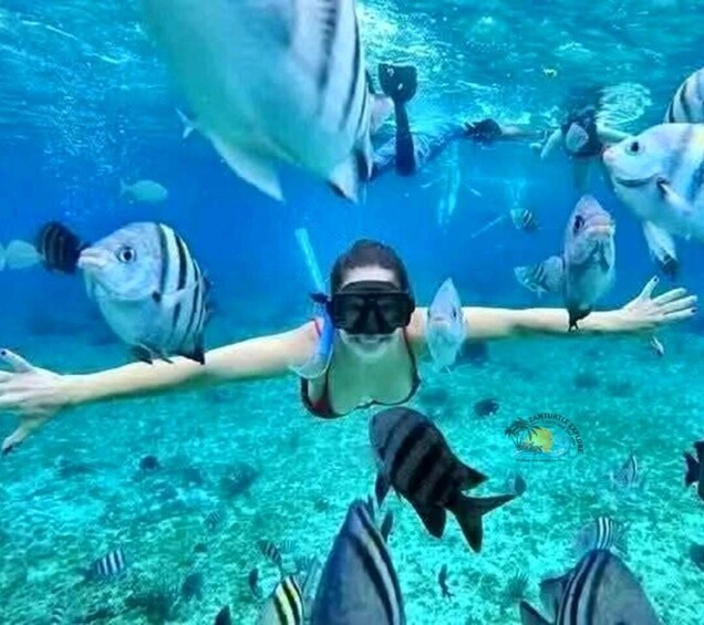 A person swimming underwater surrounded by various fish. 2