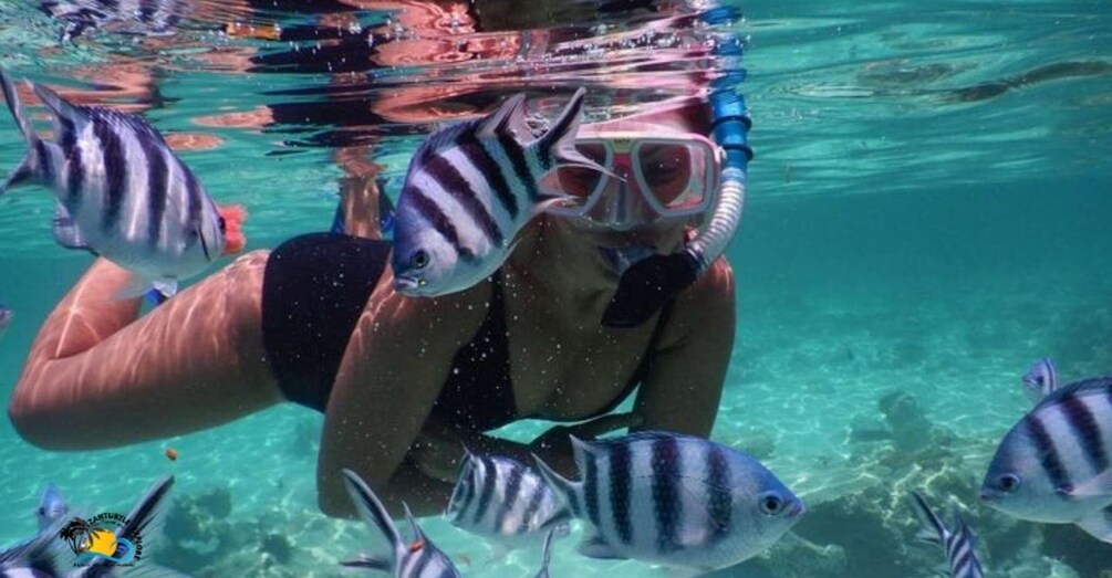 Zanzibar: Blue Lagoon Snorkeling and Starfish Paradise Tour 1