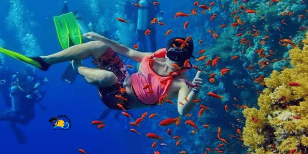 Picture 7 for Activity Zanzibar: Blue Lagoon Snorkeling and Starfish Paradise Tour 3