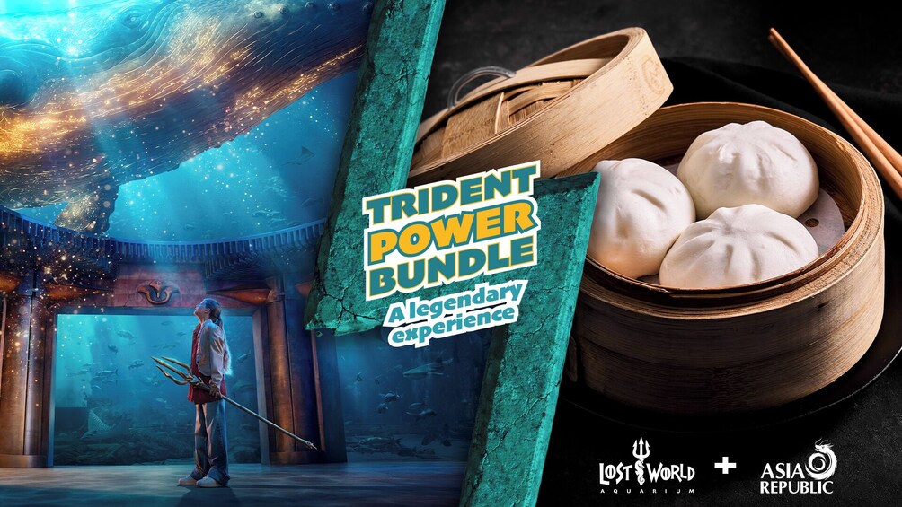 A promotional poster for a Trident Power Bundle, featuring a person in a mystical underwater scene and a bowl of dumplings. 3