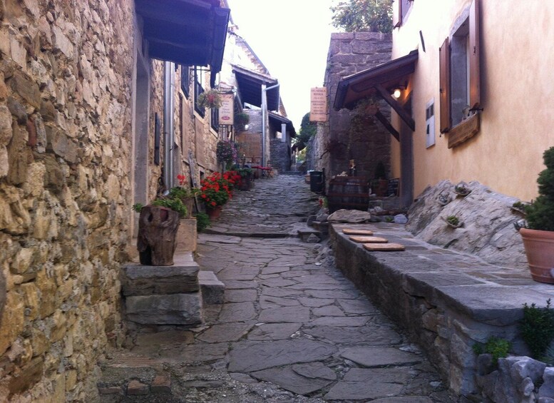 A narrow cobblestone street flanked by stone buildings with wooden shutters and flower pots. 5