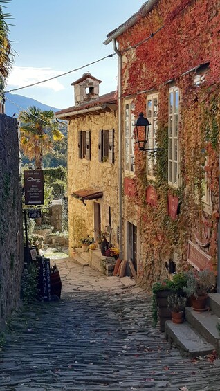A cobblestone street in a historic town with ivy-covered buildings and a sign for a local coffee shop. 1