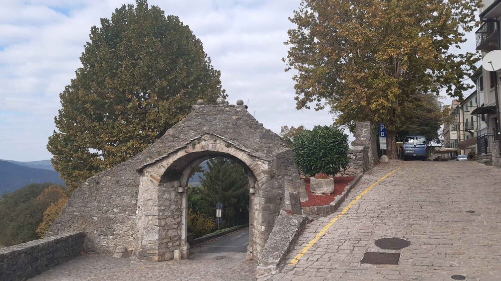 An old stone archway with trees on either side, a paved road, and a building in the background. 3