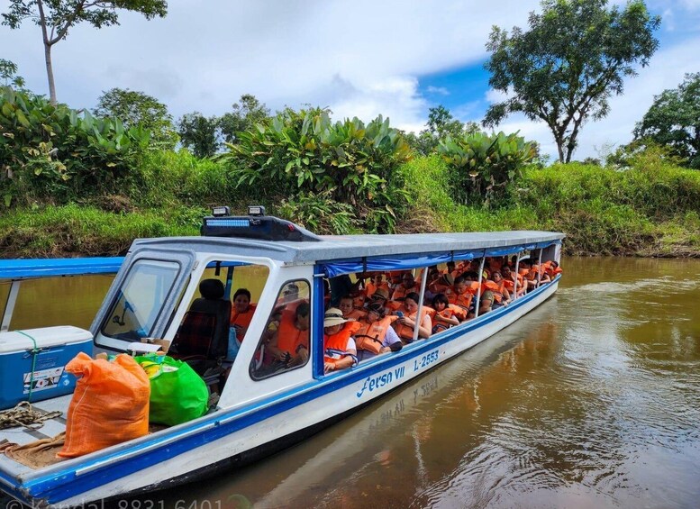 A boat carrying passengers on a river surrounded by lush greenery. 3