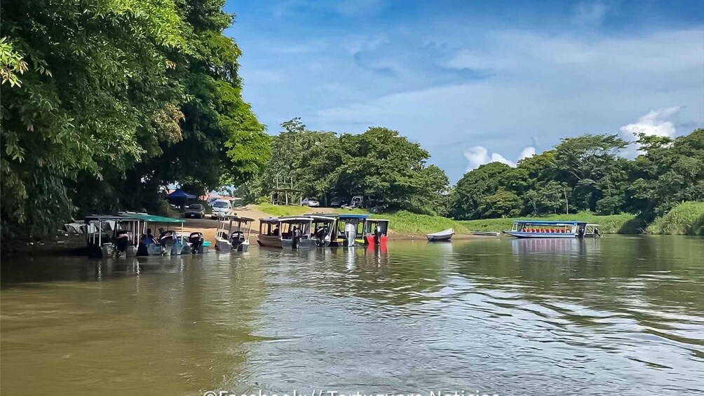 A river with boats docked along the bank, surrounded by lush greenery. 2