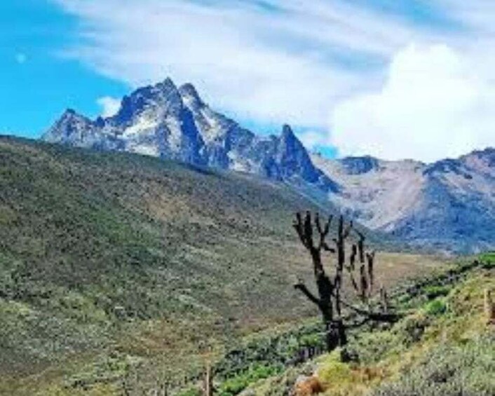 A mountainous landscape with a prominent peak, sparse vegetation, and a single cactus in the foreground. 3
