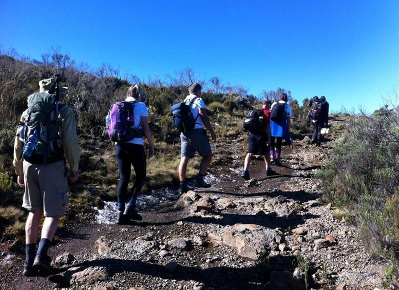 A group of hikers on a rocky trail with sparse vegetation. 2