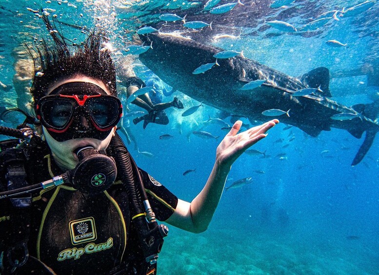 A diver with a Rip Currle brand diving mask and gear, surrounded by a school of fish and a large shark in clear blue water. 1