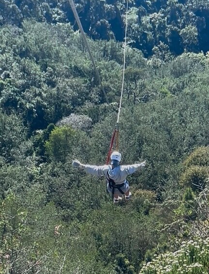 Picture 2 for Activity Plettenberg: 2-Hour Zipline Tour 4