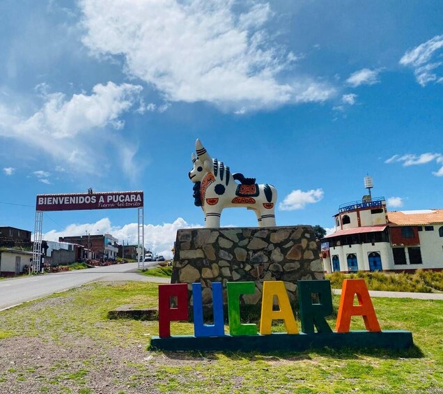 Picture 2 for Activity From Puno : Excursion to Lampa - Quechua Route 2