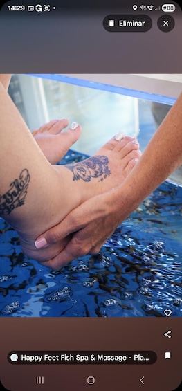 A person's feet in water with tattoos. 2