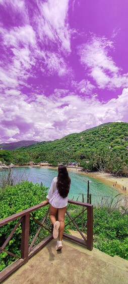 A person standing on a bridge overlooking a beach with clear turquoise water, surrounded by lush greenery and hills. 2