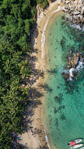 An aerial view of a beach with clear turquoise water, palm trees, and people sunbathing. 3