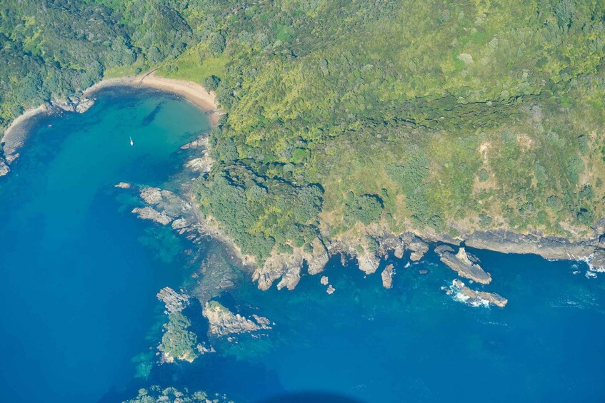 An aerial view of a coastal area with a sandy beach, green vegetation, and rocky outcrops. 4