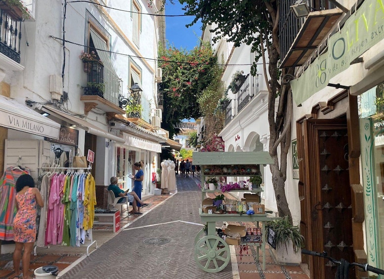 Une rue étroite bordée de boutiques, un étal de fleurs et des passants. 1