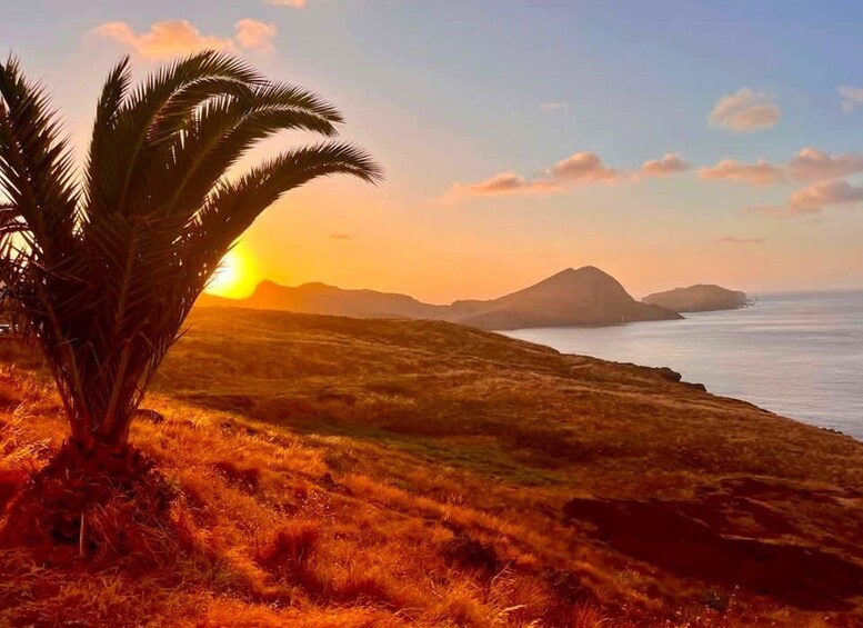 Picture 3 for Activity Madeira: Sunrise Tour with Hotel Pickup 2