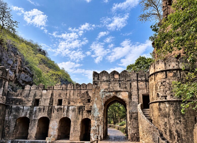 Picture 4 for Activity Ranthambore Tiger Safari Day Trip with Fort Tour & Lunch 3