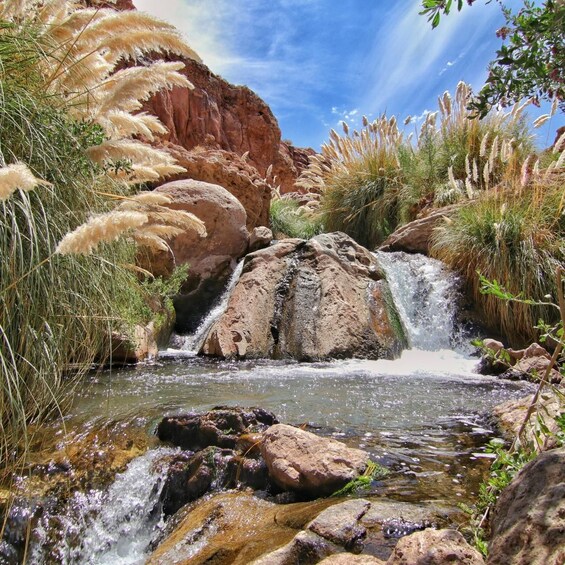 Picture 1 for Activity Trekking Purilibre 3