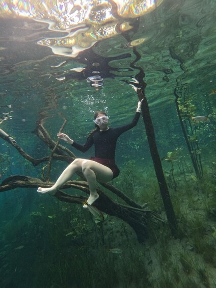 A person snorkeling underwater, surrounded by aquatic plants and fish. 4