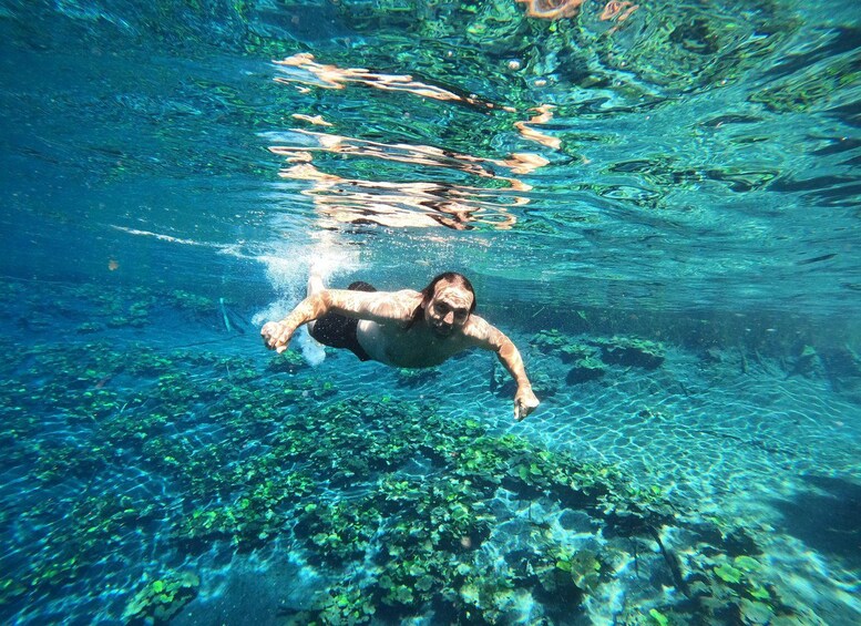 A person swimming underwater in a clear body of water with visible aquatic plants. 1