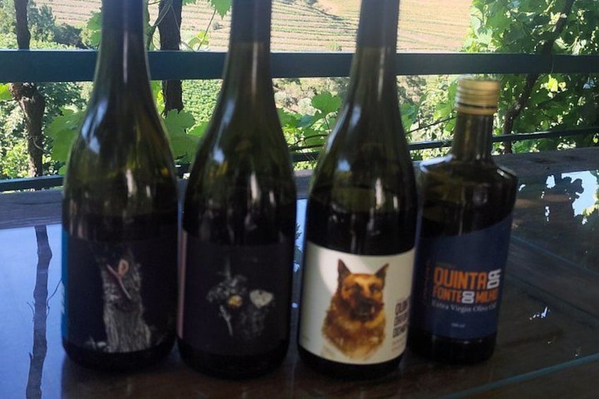 Douro Valley Tour 4
