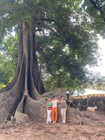 Picture 1 for Activity From Palmarin: Saloum Islands 2 Night Tour 5