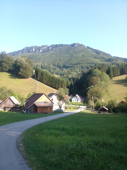 A rural landscape with a winding road, wooden houses, and a forested mountain in the background. 1