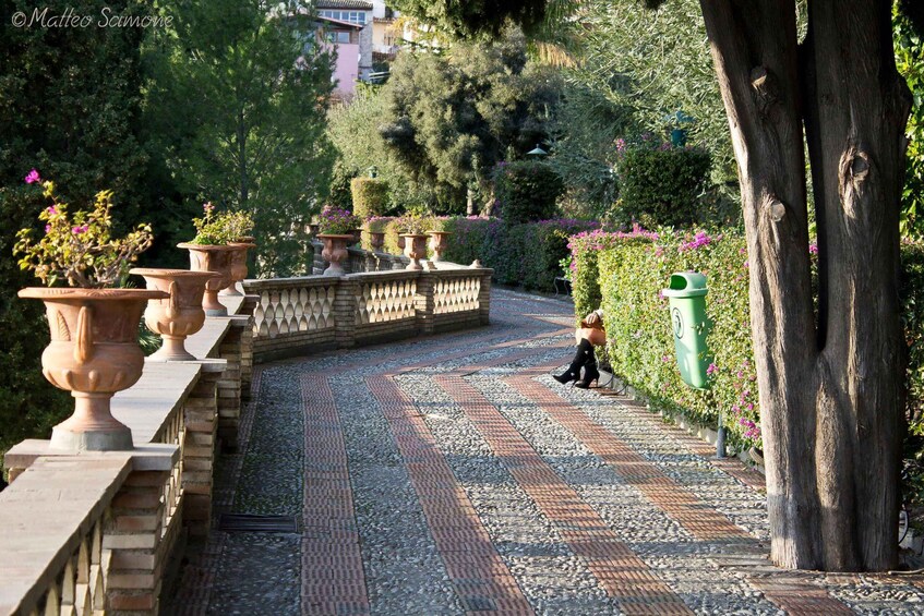 A garden pathway with terracotta planters and a green trash bin. 2