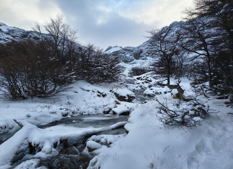 A snow-covered mountainous landscape with a stream flowing through. 3