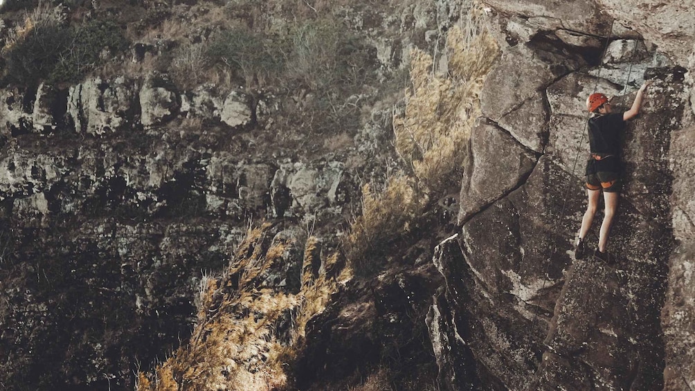 Picture 5 for Activity Scaling Oahu: Rock Climbing Adventures Amidst Paradise 2