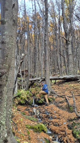 A person hiking through a forest with a stream. 2