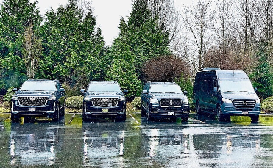 Four vehicles parked on a wet road with trees in the background. 4