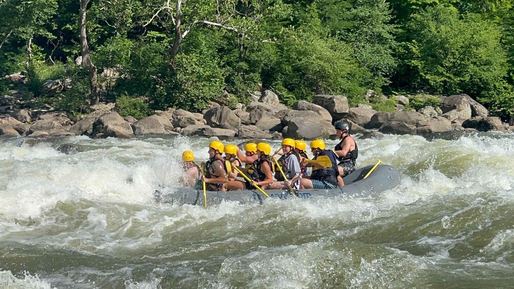 Picture 3 for Activity Hico, WV: Lower New River Rafting Day Trip with Lunch 5