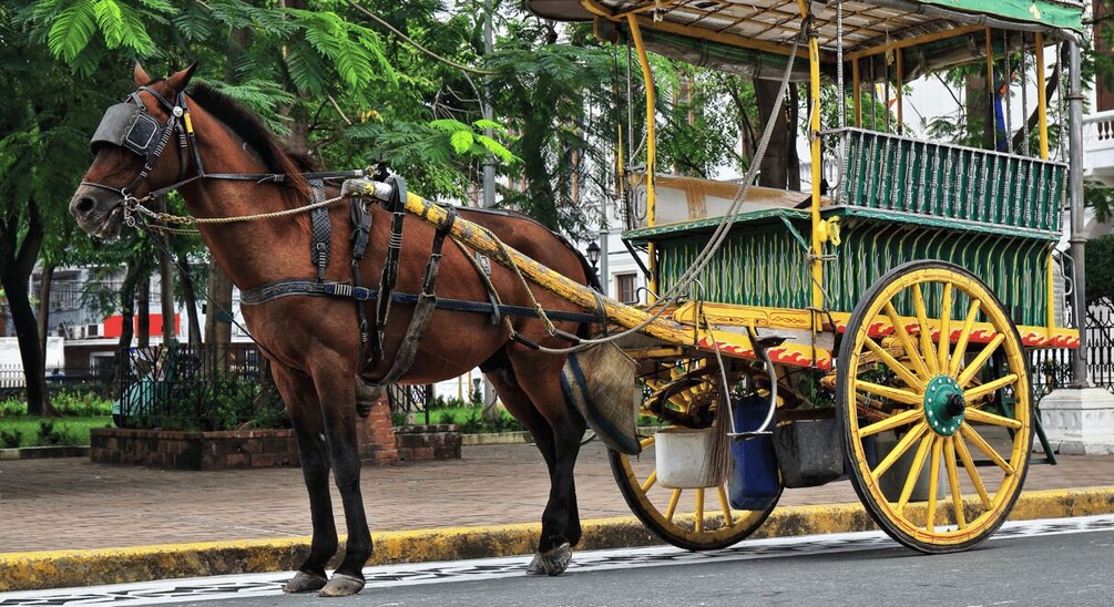 A horse-drawn carriage with yellow wheels and a green canopy, parked on a city street. 3