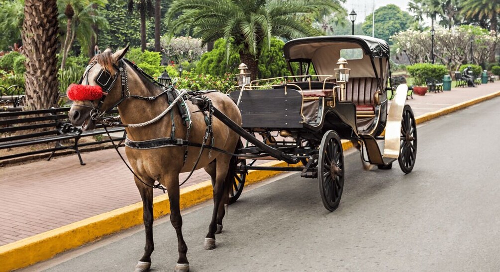 A horse-drawn carriage on a paved road with greenery and palm trees in the background. 1