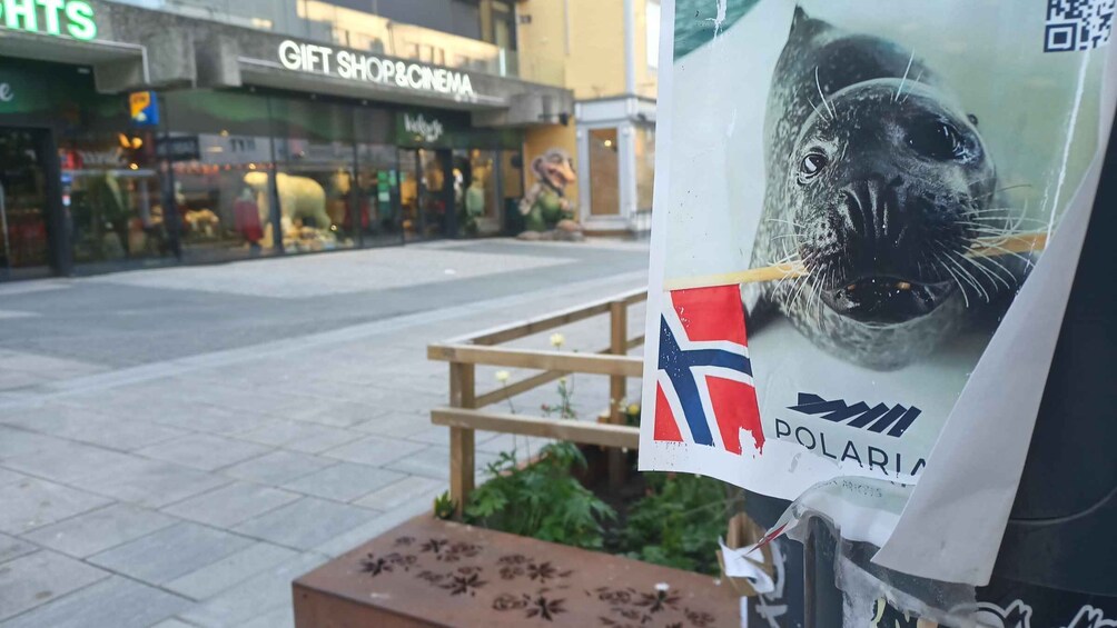 Picture 1 for Activity Tromsø City Walking Tour with Sámi History & Mythology 5