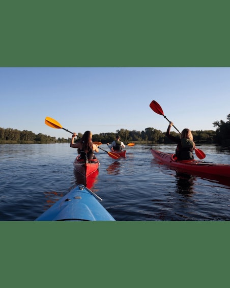 Ocean Springs: Guided Kayak Tour 1