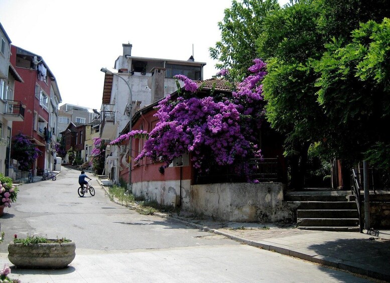 Picture 4 for Activity From Istanbul: Princess Islands Guided Day Trip by Ferry 3