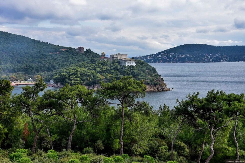 Picture 5 for Activity From Istanbul: Princess Islands Guided Day Trip by Ferry 5