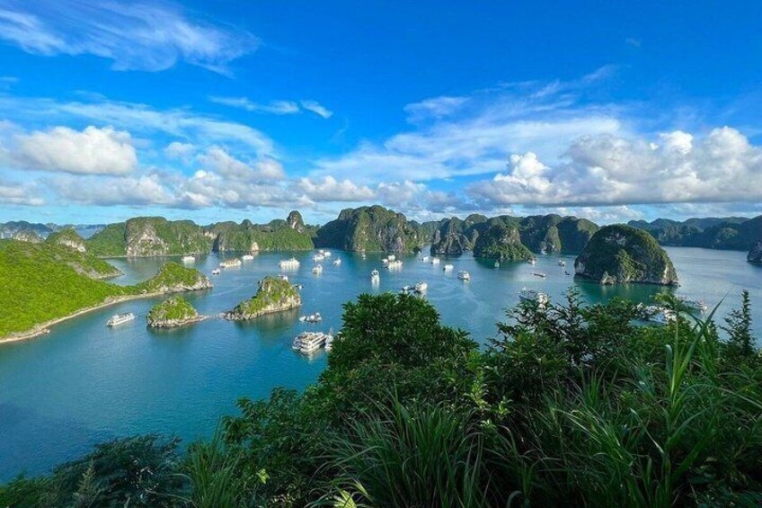 5-Star Ha Long Bay Day Cruise: Jacuzzi, Kayaking & Scenic Wonders 5