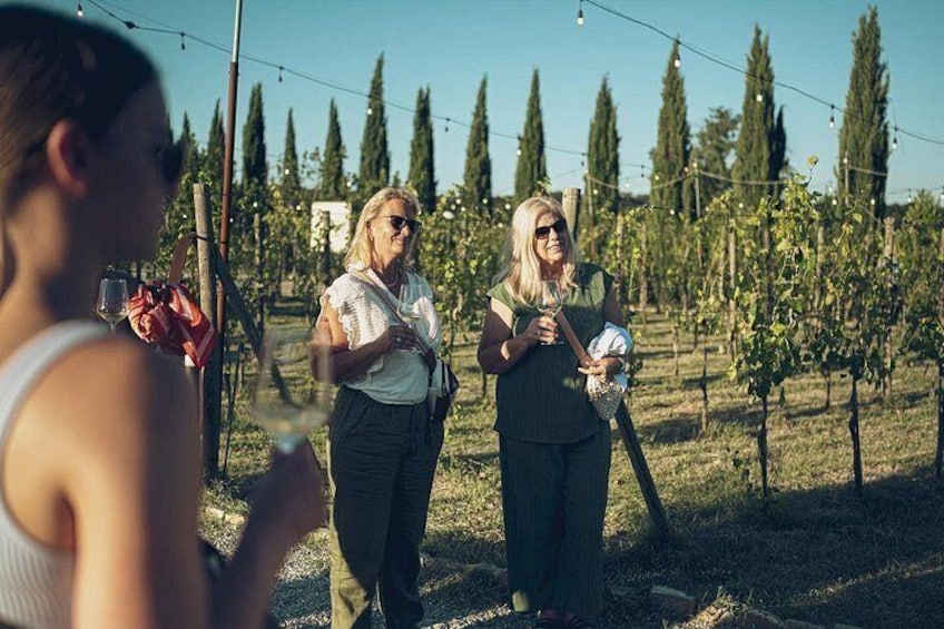 Lunch with Wine Tasting at Poggio ai Laghi Winery 2