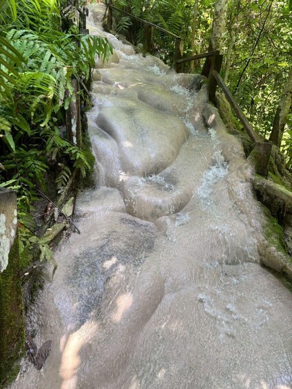A cascading waterfall in a forested area. 2