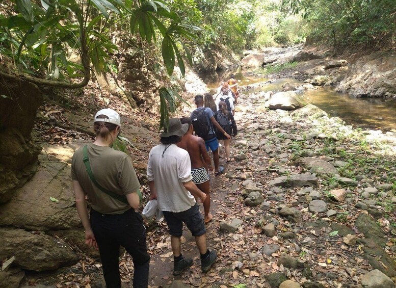Picture 1 for Activity Indigenous Embera Village Tour Canoe Ride Hidden Waterfall 5