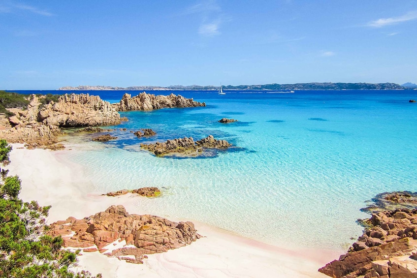 Picture 1 for Activity From Sardinia: La Maddalena Archipelago Full-Day Boat Tour 5