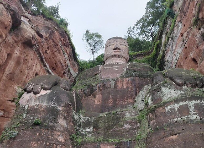 A large Buddha statue carved into a cliff face, surrounded by greenery. 1