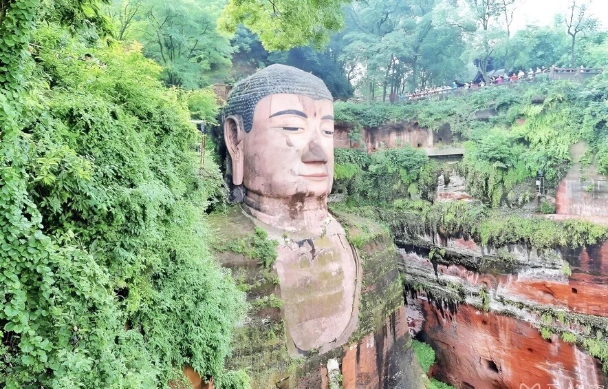 A large Buddha statue partially covered by greenery. 5