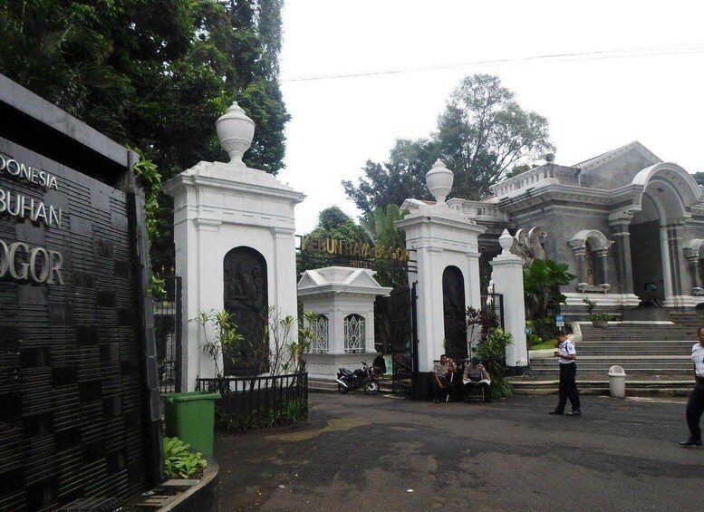 Picture 1 for Activity BANDUNG TO JAKARTA: Tea Plantation and Botanical Garden Tour 5
