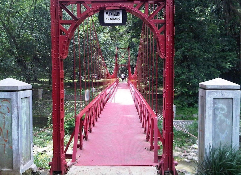 Picture 3 for Activity BANDUNG TO JAKARTA: Tea Plantation and Botanical Garden Tour 2