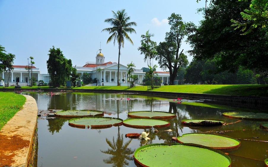 Picture 2 for Activity BANDUNG TO JAKARTA: Tea Plantation and Botanical Garden Tour 4