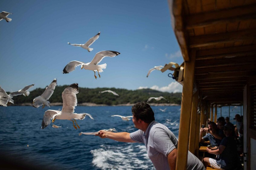 A man feeding seagulls on a boat with passengers in the background. 1